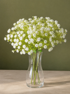 گل عروس (ژیپسوفیلیا) رنگ سفید بوته 7 شاخه مدلgypsophila کد 10